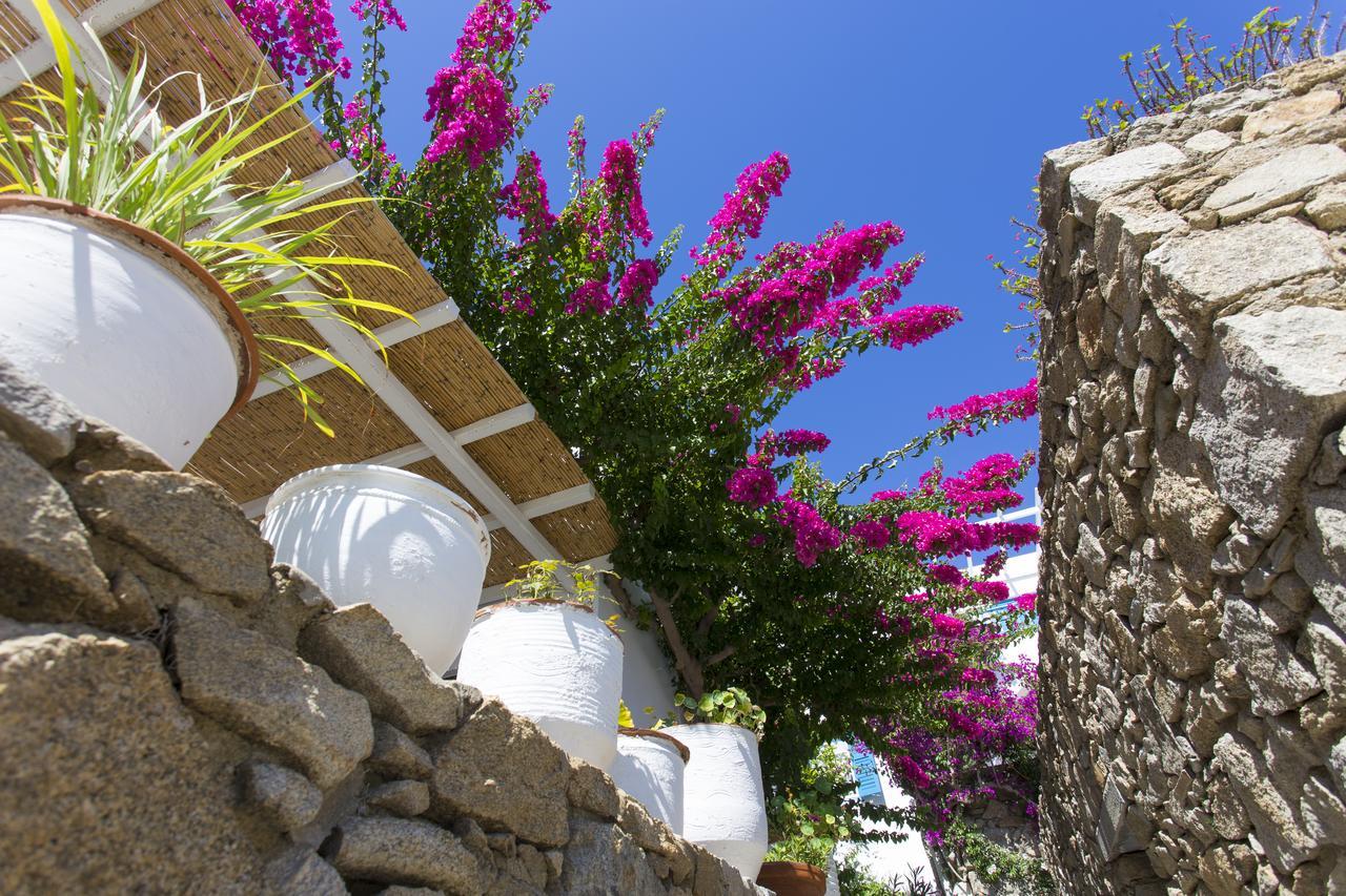 Vila Casa Cozy Mykonos Town Exteriér fotografie